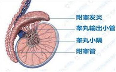 邯郸燕赵中医医院