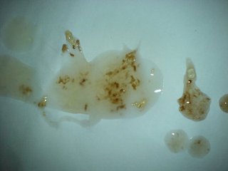 邯郸燕赵中医医院